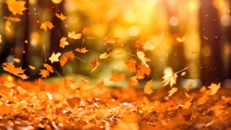 self storage fall season