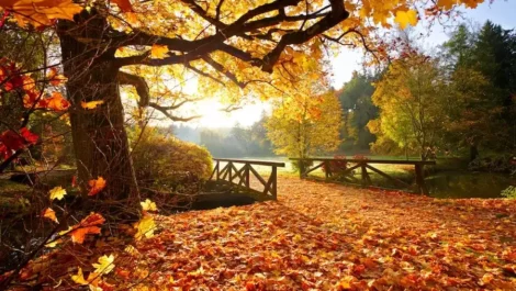 self storage fall season