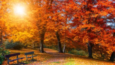 self storage for fall season