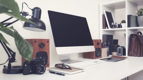 reduce clutter guard dog storage